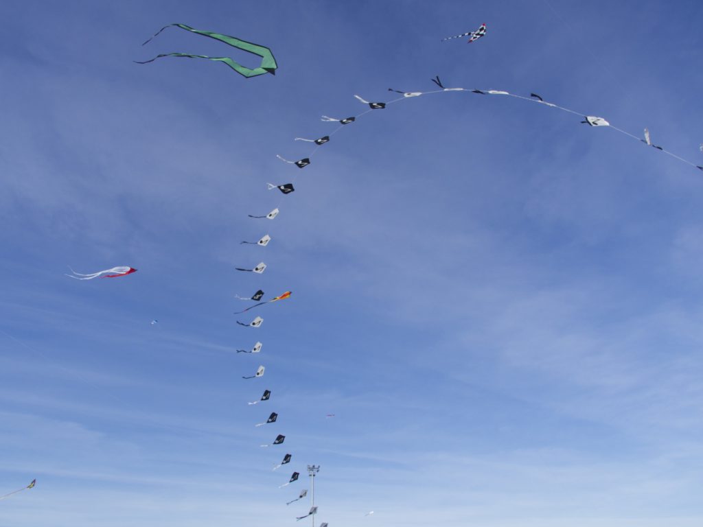 Cerf-volant à Coulaines 2