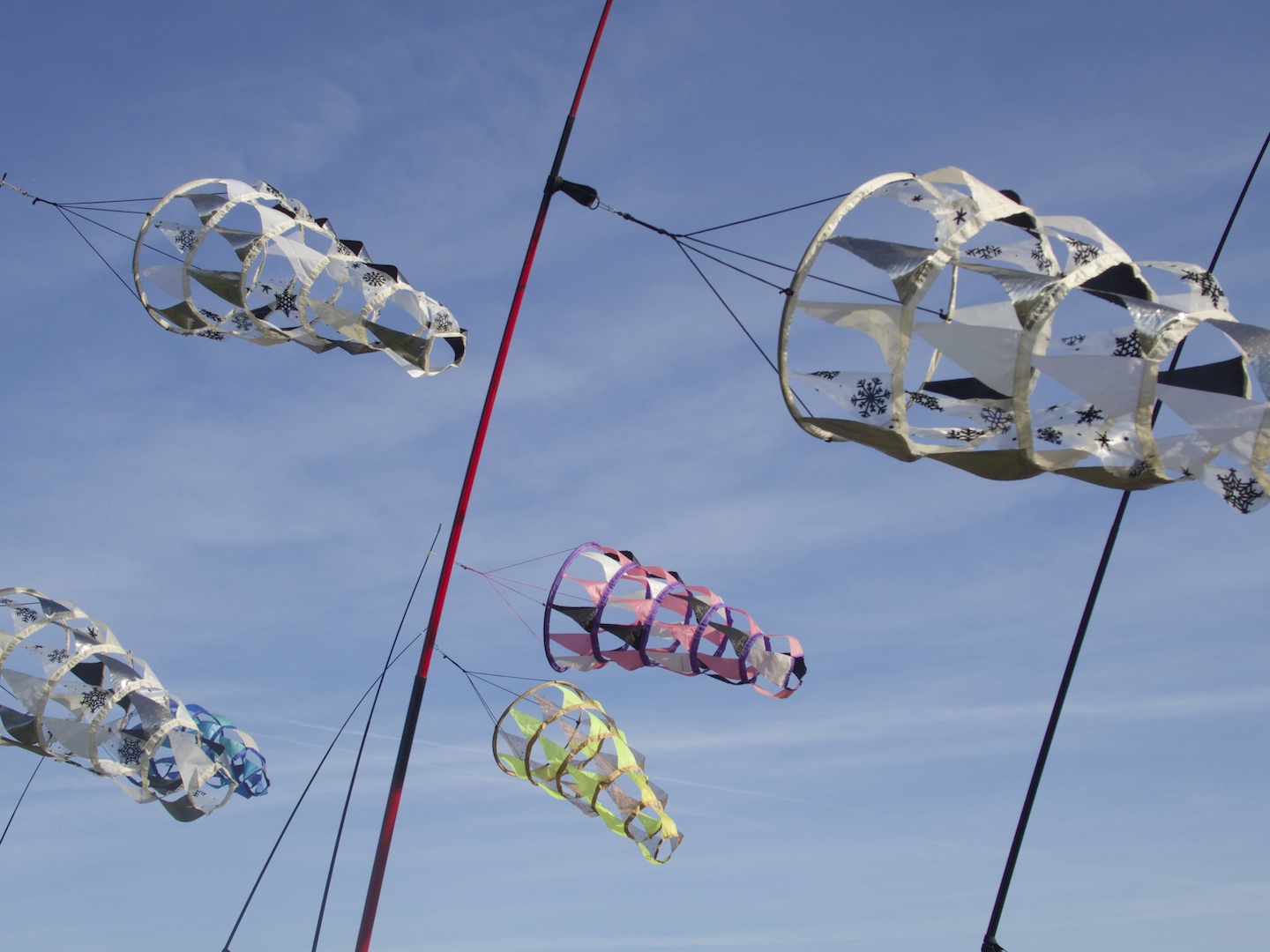 Cerf-volant à Coulaines 6