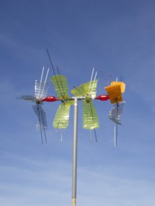 Cerf-volant à Coulaines 4