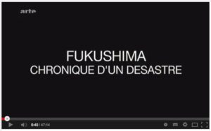 fuku-chronique-dun-desastre
