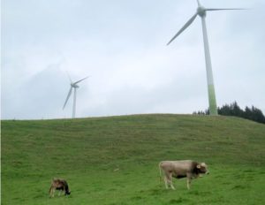 wildpoldsried-dans-interception-sur-f-inter