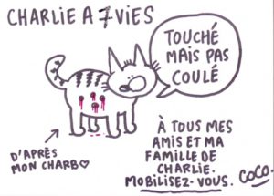 dess-coco-touch-pas-coule