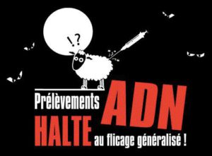 aff-20adn-20-2b-20mouton