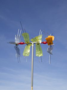 cerfs-20v-20coulaines-206